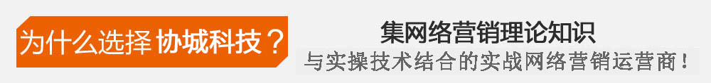中國第一支集網絡營銷理論知識與實操技術完美結合的實戰網絡營銷運營商!